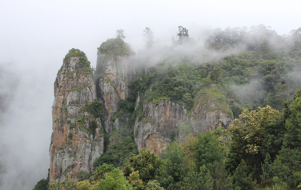 Force Traveller used for a trip to Kodaikanal Pillar Rocks